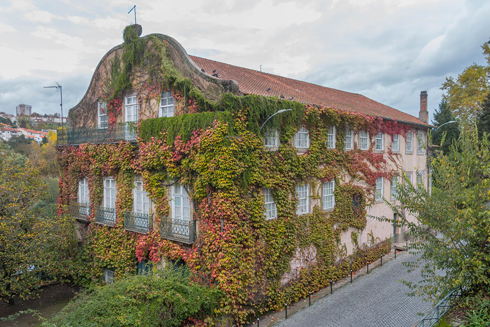 Zugewachsenes Haus irgendwo am Douro