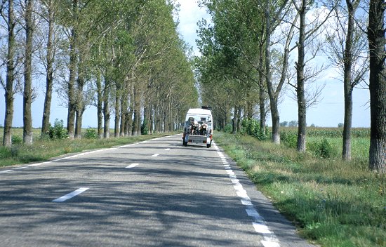 Tolle Allee, aber die Straße ist viel holpriger als sie aussieht.