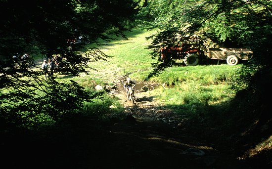 Anlauf durch den Bach ...