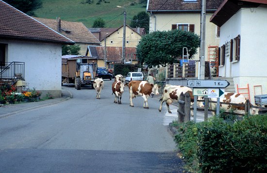 Landidylle