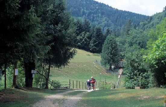 Schotterstreckchen im Grünen