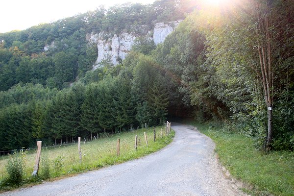 Kleine Sträßchen führen durch die Wälder