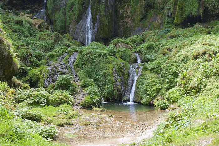 Überall fließt Wasser durch grüne Landschaften