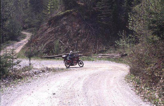 Irgendwo im Wald südlich von Zelezniki
