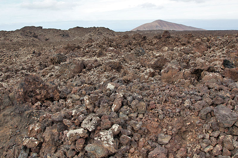 In den öden Lavafeldern ...