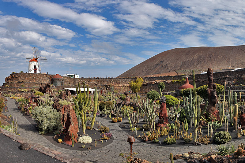 Jardin de Cactus, ein Gelände mit sehr vielen verschiedenen Kakteen