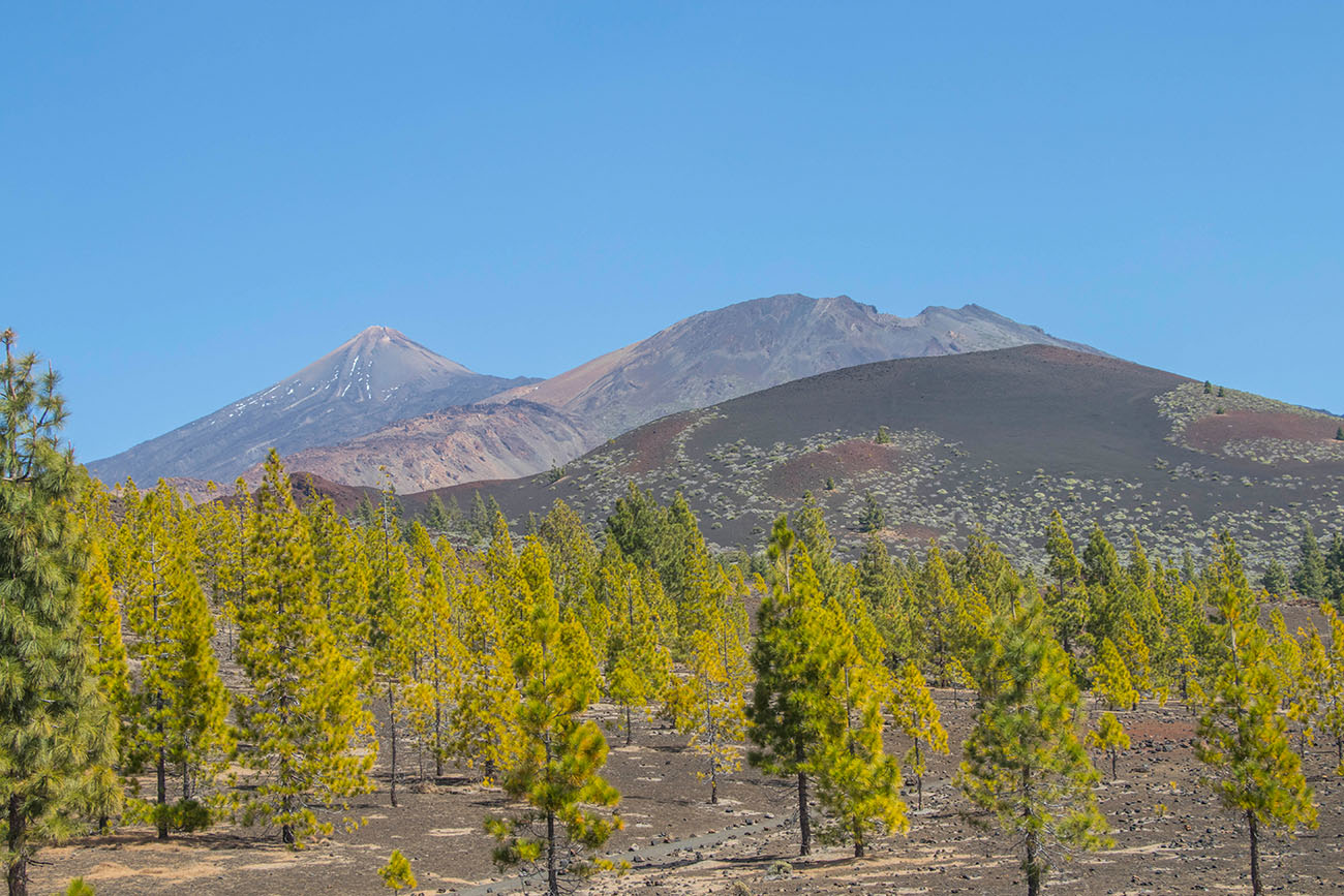 Links der Teide und rechts der Pico Viejo 