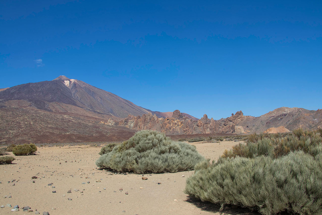 Teide und Roques de Garcia 