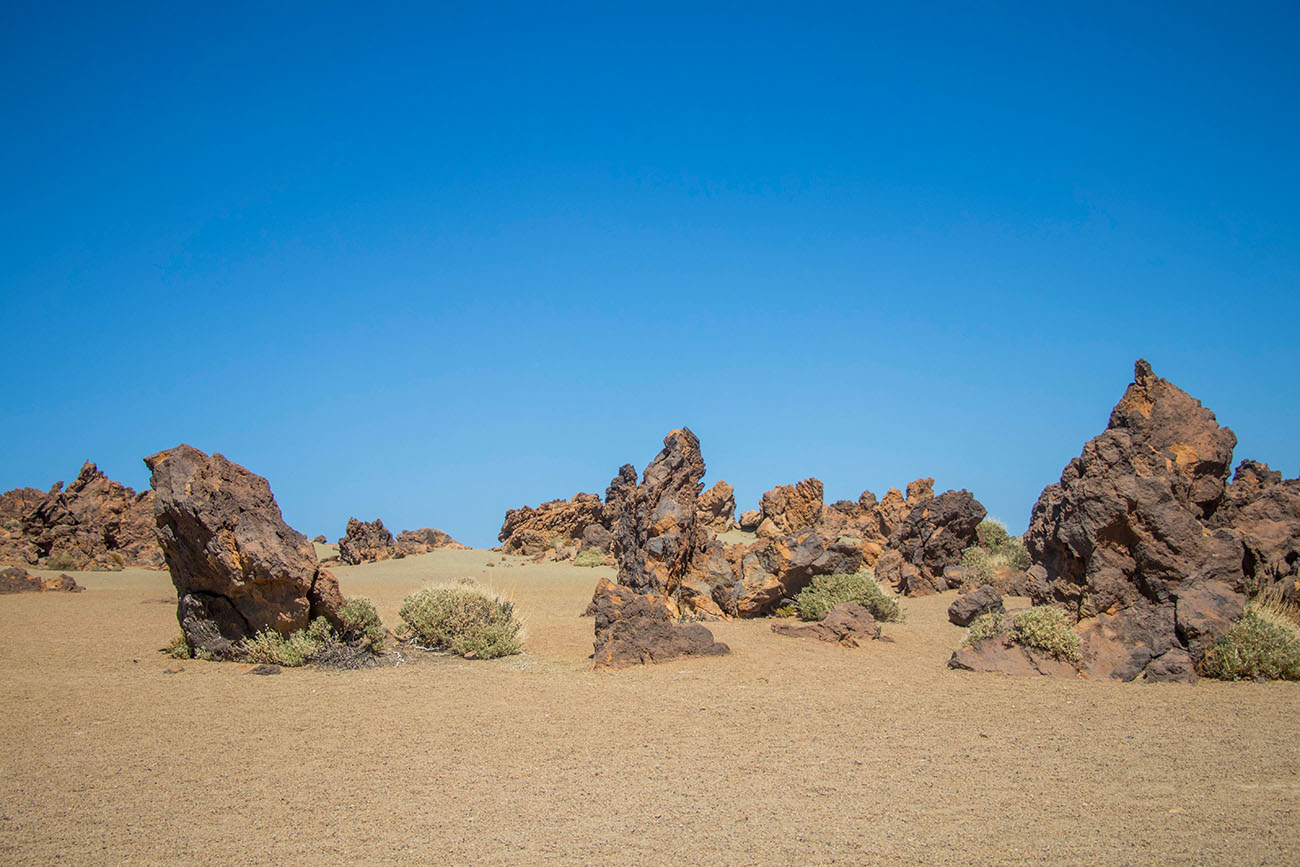 In der Bimssteinebene am Fu&szlig;e des Teide 