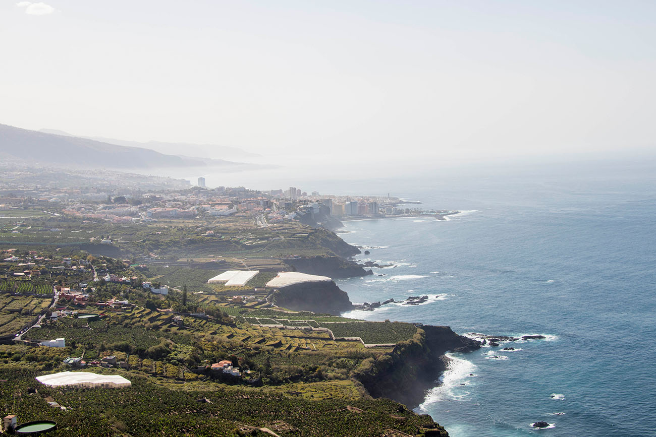 Ausblick auf Puerto de la Cruz 