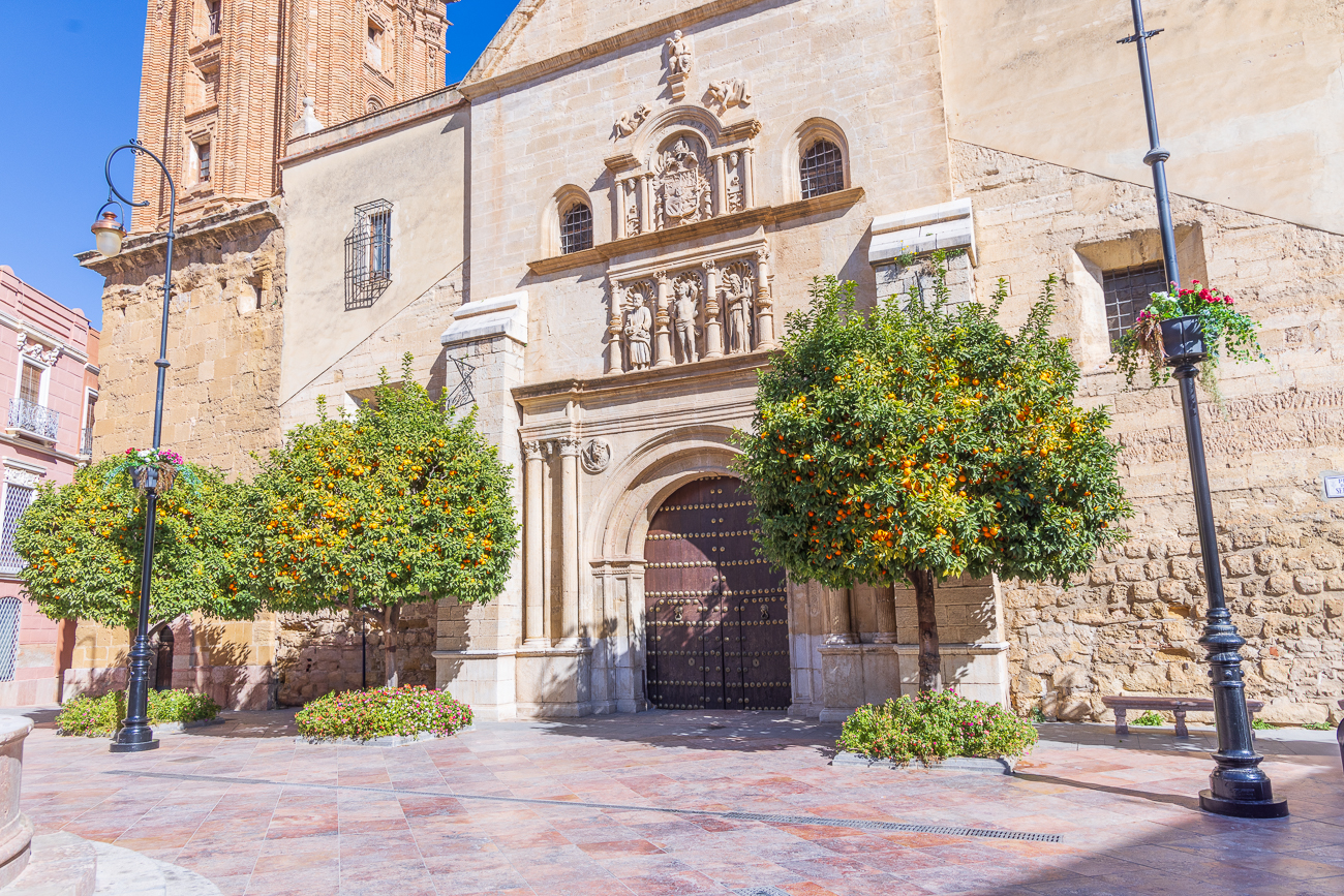 Orangenbäume vor der Kirche San Sebastián
