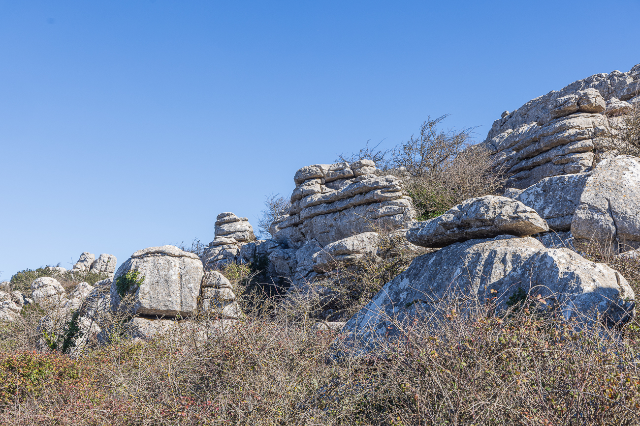 El Torcal (vollständig Paraje Natural Torcal de Antequera) ist ein 1171 ha großes Naturschutzgebiet im spanischen Andalusien, ca. 14 km entfernt von der Provinzstadt Antequera (Provinz Málaga). Mit seinen außergewöhnlichen Karstformationen gehört der Park zu den beeindruckendsten Landschaften Spaniens. Neben Touristen zieht er auch Geologen und Botaniker an.