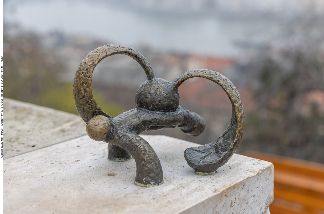 In Fortsetzung seines nostalgischen Blicks auf die ungarische Fernsehgeschichte prsentierte Kolodko im November 2018 das kocksflű nyl (schachbrettartiges Kaninchen) auf der Spitze der Burgberg-Seilbahn. Die in den 1970er Jahren von Veronika Mark geschriebene und von Zsolt Richly animierte Serie erlangte mit Versptung weltweite Popularitt, insbesondere in den USA, wo sie nach dem Fall des kommunistischen Regimes auf Nickelodeon ausgestrahlt wurde. Dieses schlappohrige Hschen betrachtet die Stadt aus der Vogelperspektive und beobachtet die Donau durch ihr Fernrohr.