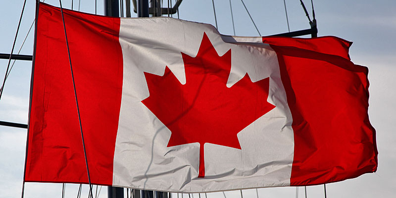 Maple Leaf