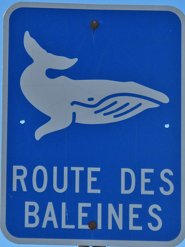 Wir folgen zunächst der Walroute