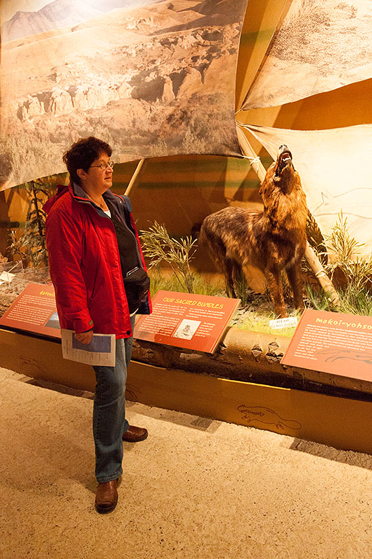 Endlich Wildlife: Rotjäckchen und der Wolf ;-)
