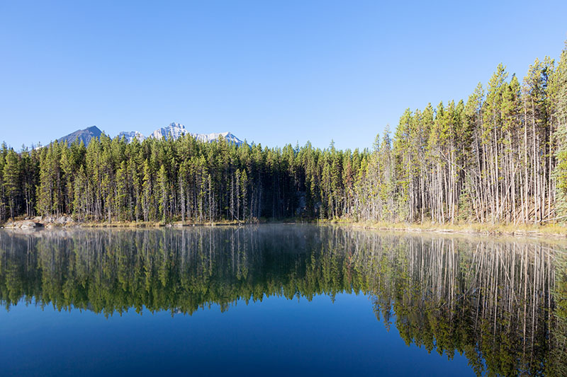 Spiegelbild