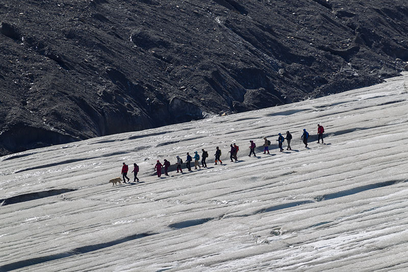 Man kann eine geführte Wandertour über den Gletscher buchen ...