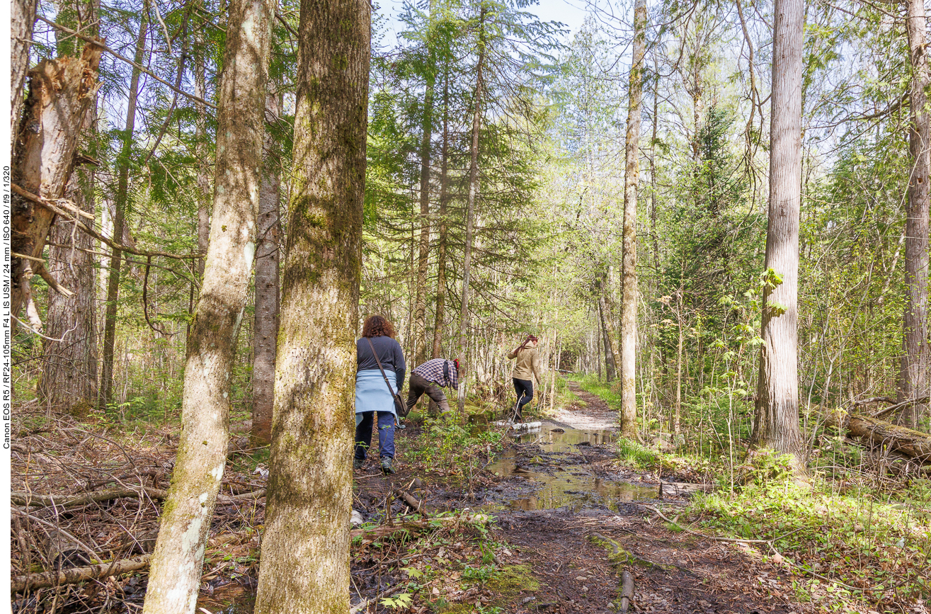 ... und die nassen Stellen müssen umgangen werden