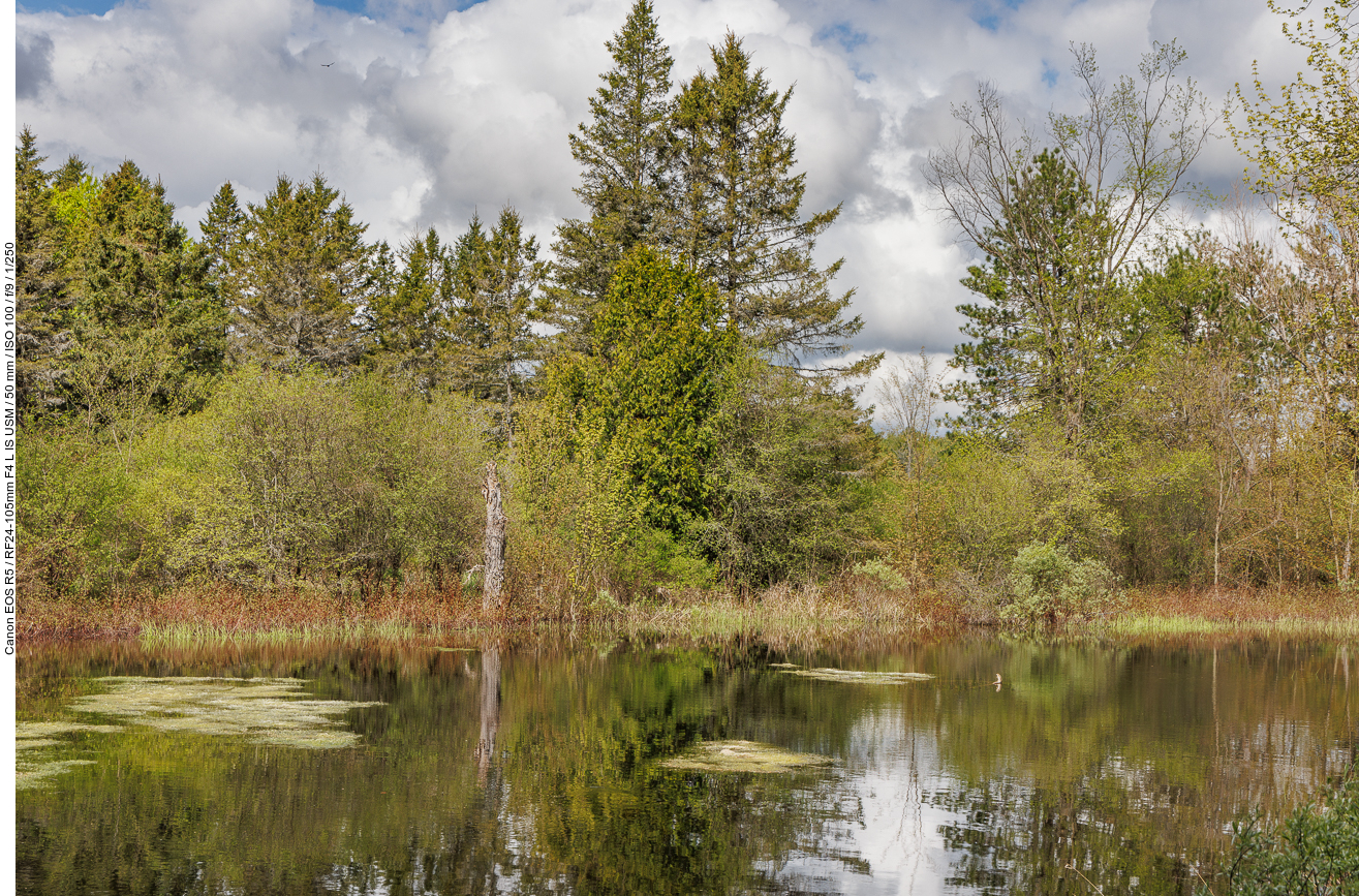 Kleiner Teich