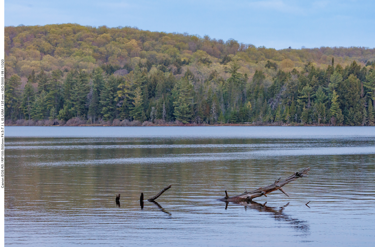 ... vom Canisbay Lake ...