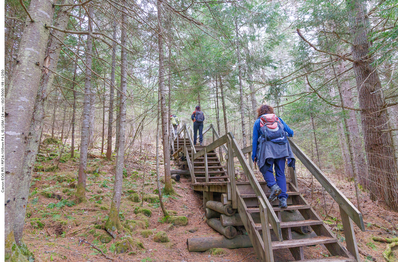 Über Treppen geht es weiter hinauf