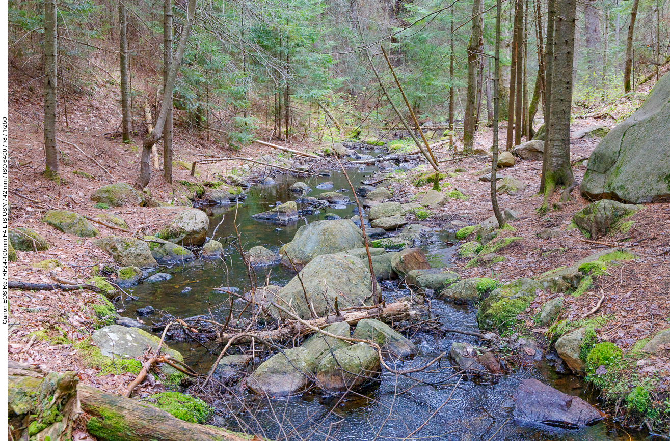 Bachlauf