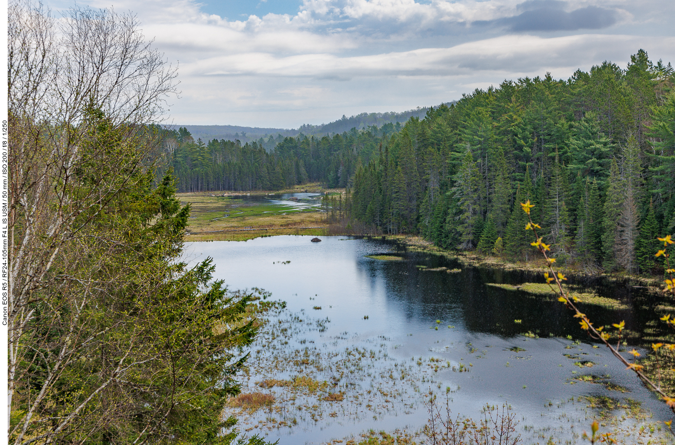 Blick über den Amikeus Lake
