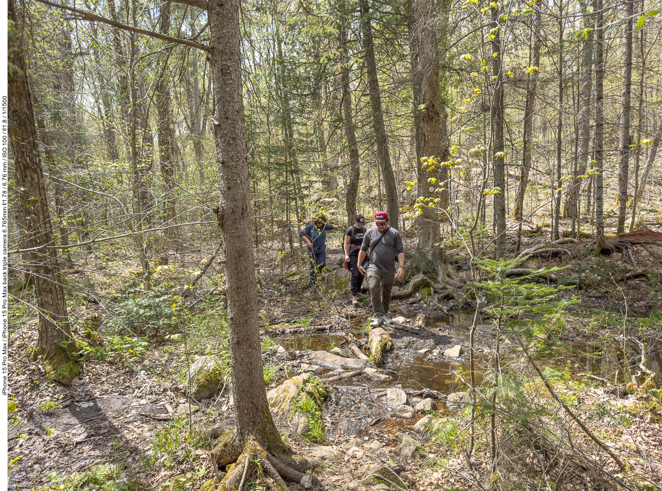Der Mizzi Lake Trail erfordert gute Trittsicherheit