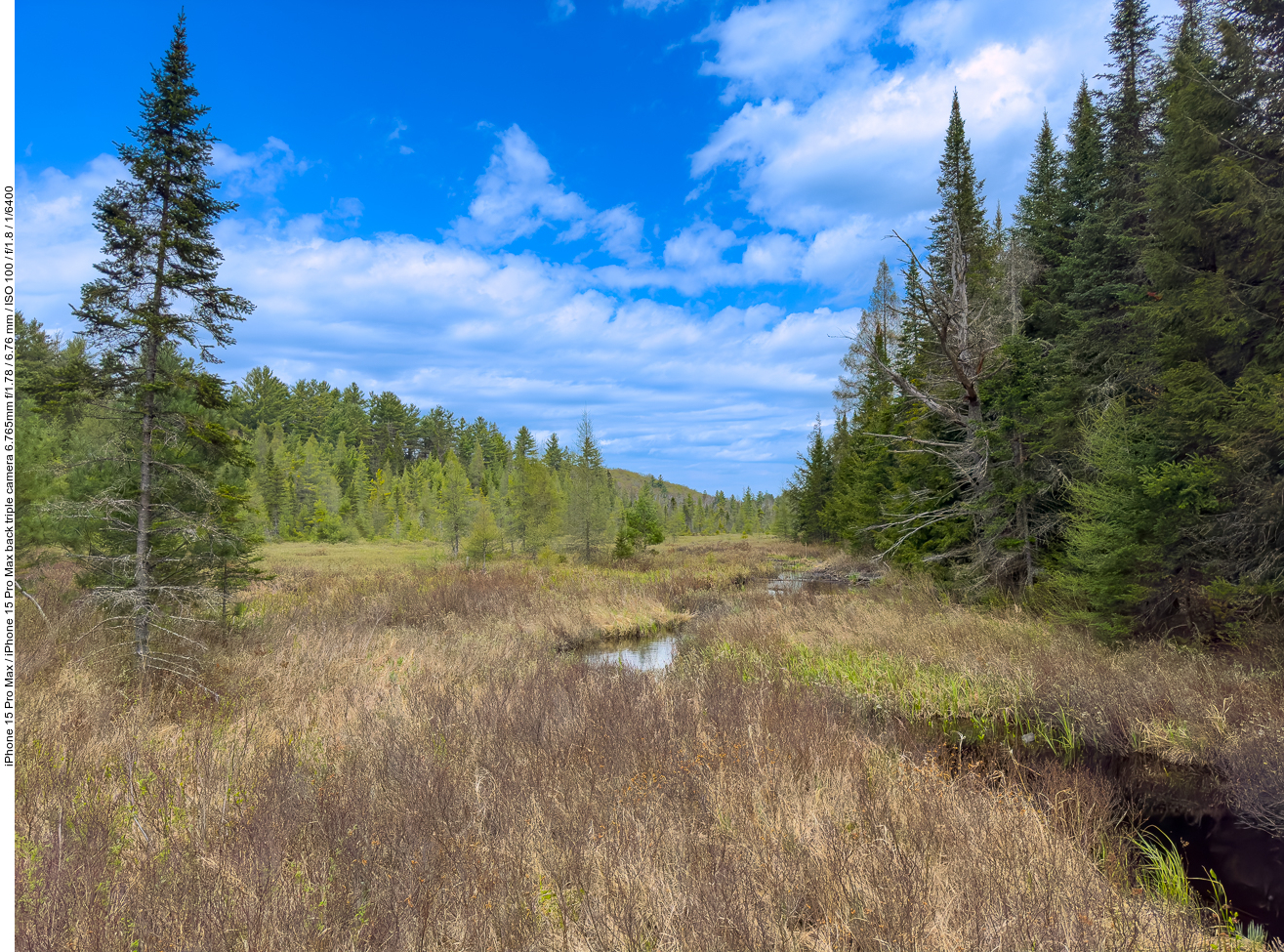 Moorlandschaft