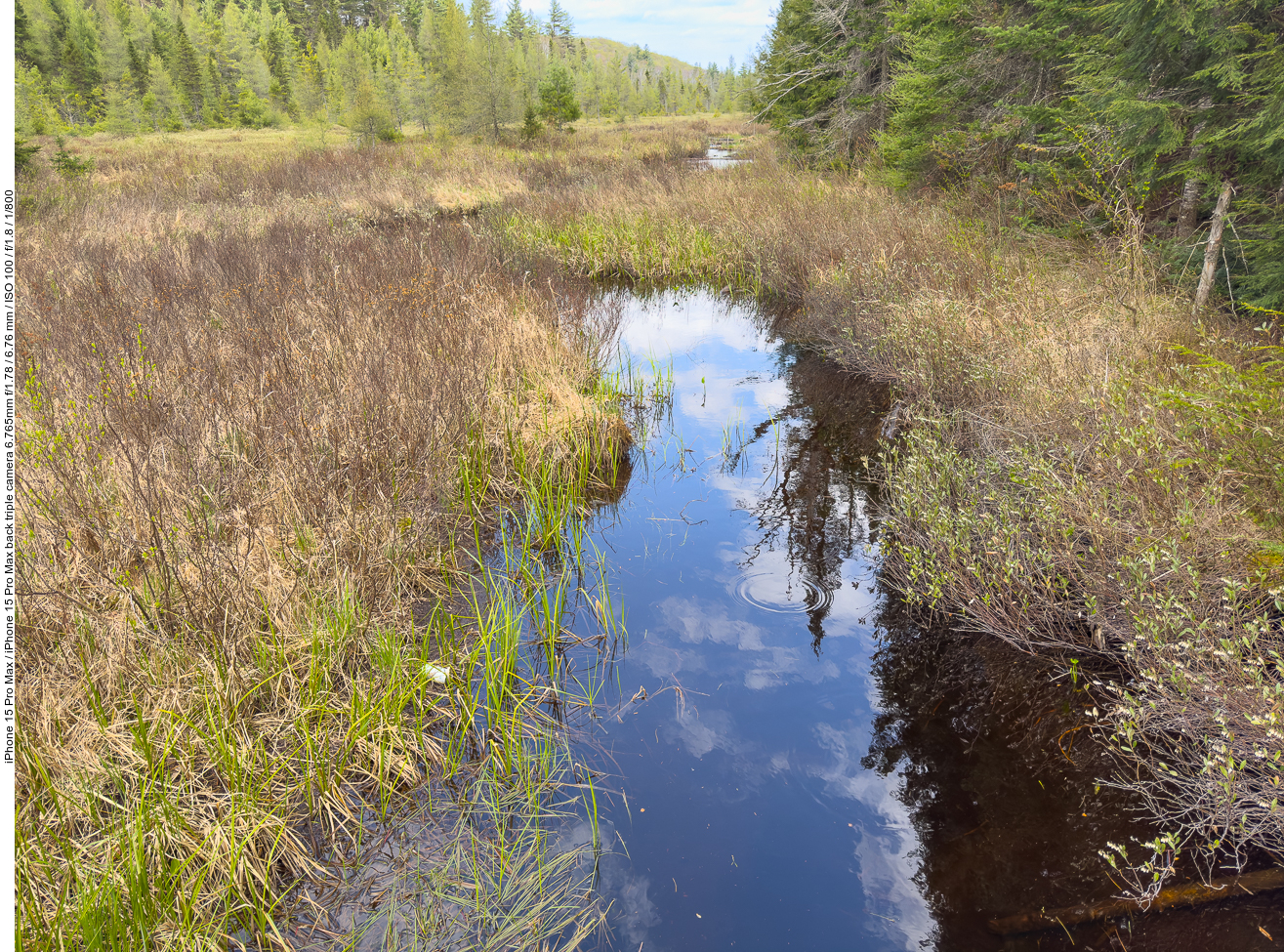 Moorlandschaft
