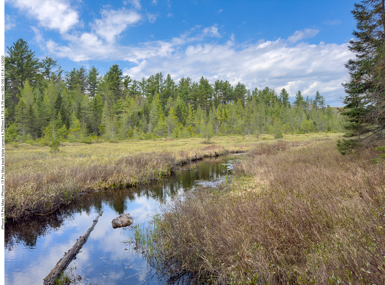Moorlandschaft