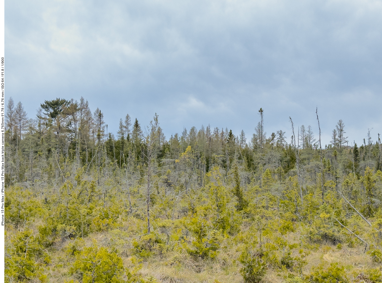 Moorlandschaft ...
