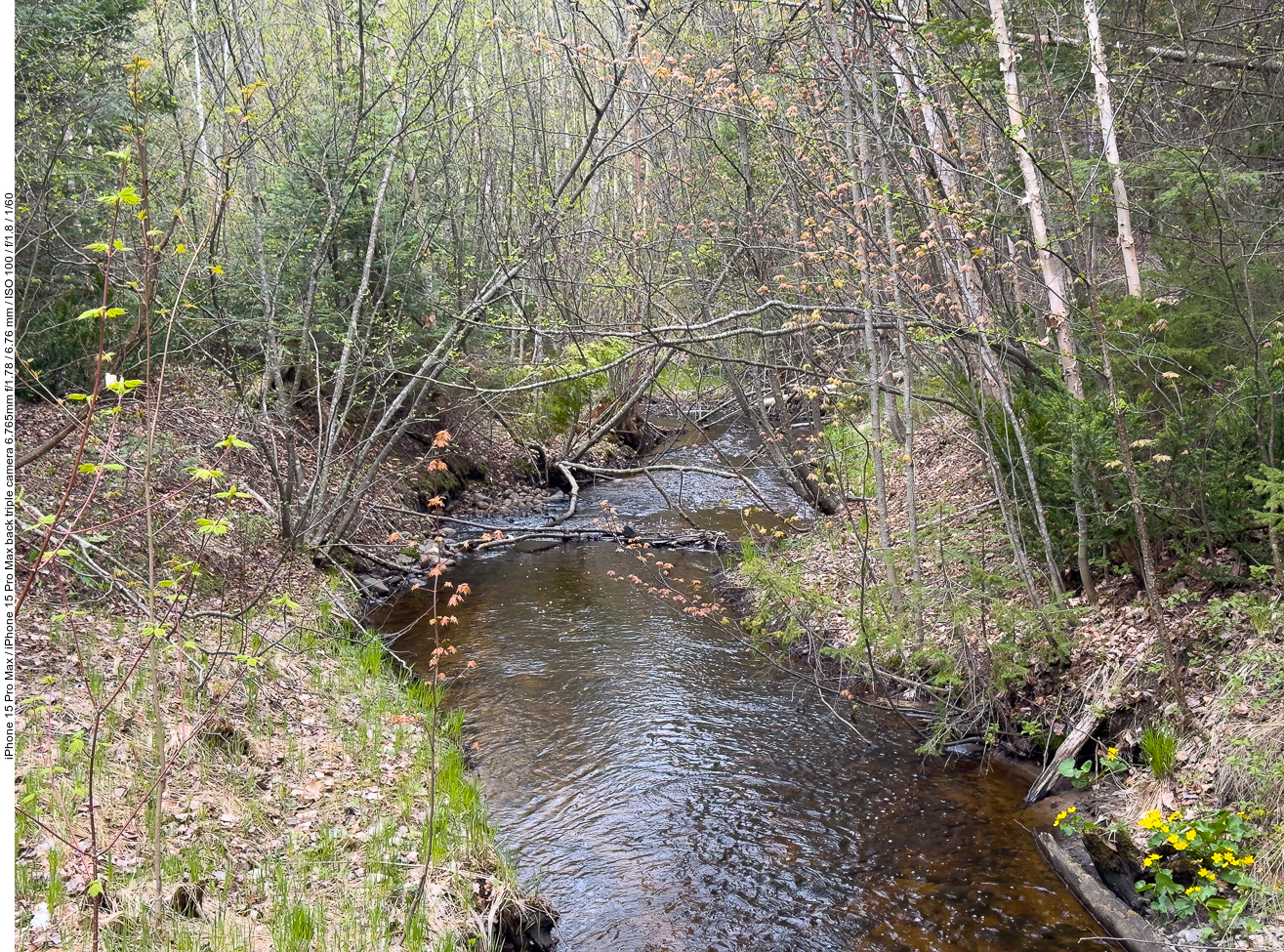 Am Black Creek
