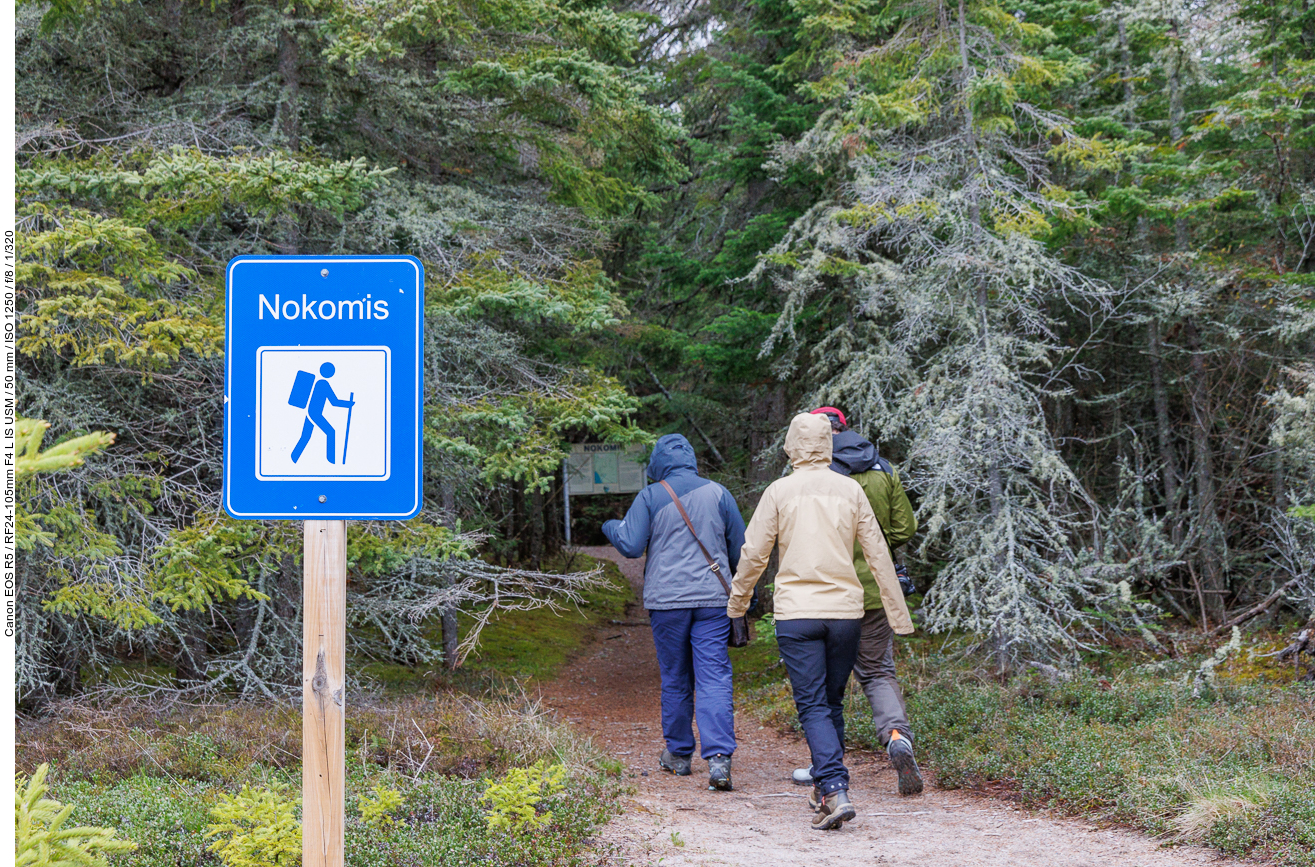 Start der Wanderung bei leichtem Nieselregen