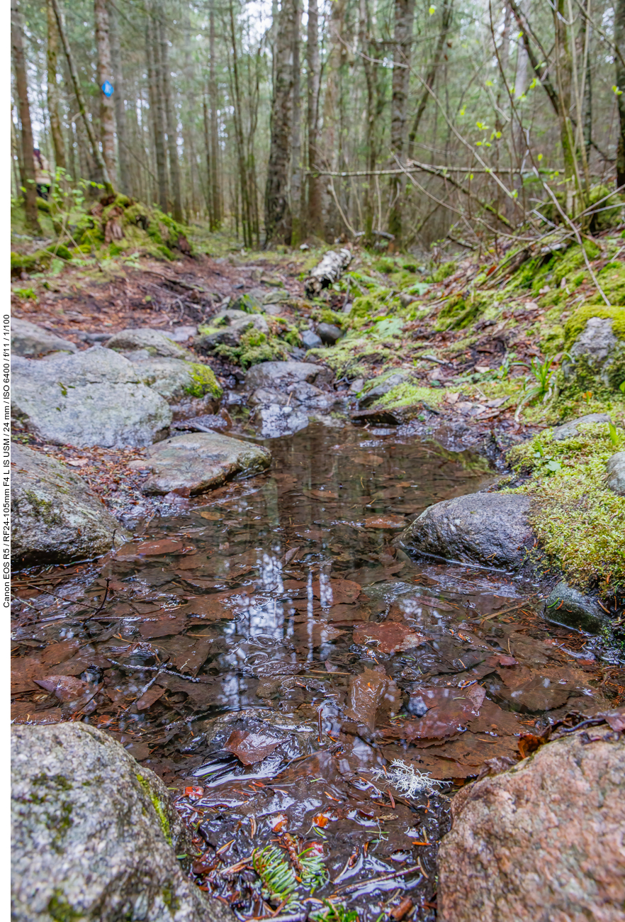 Kleiner Bachlauf