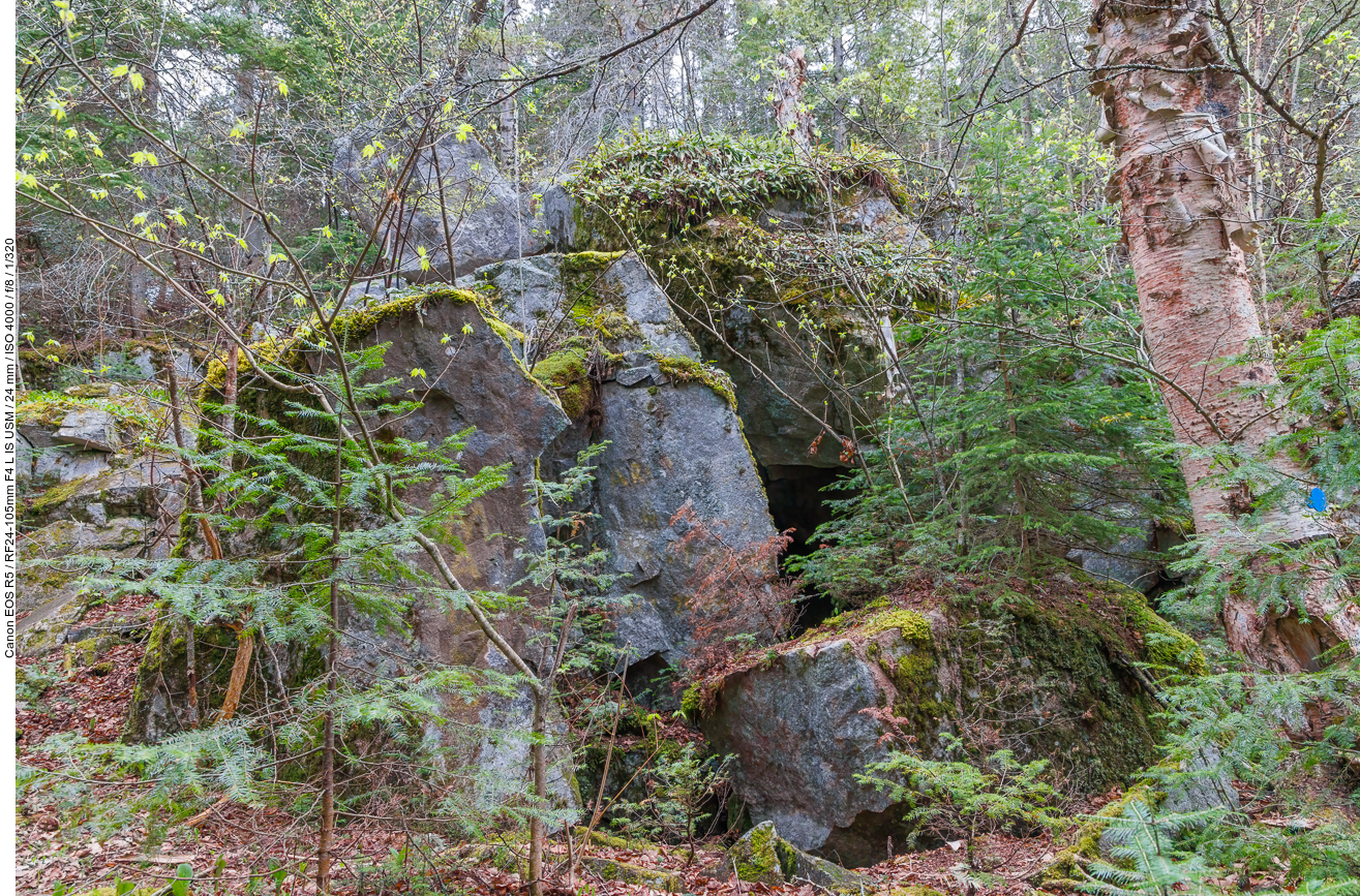 Bärenhöhle?