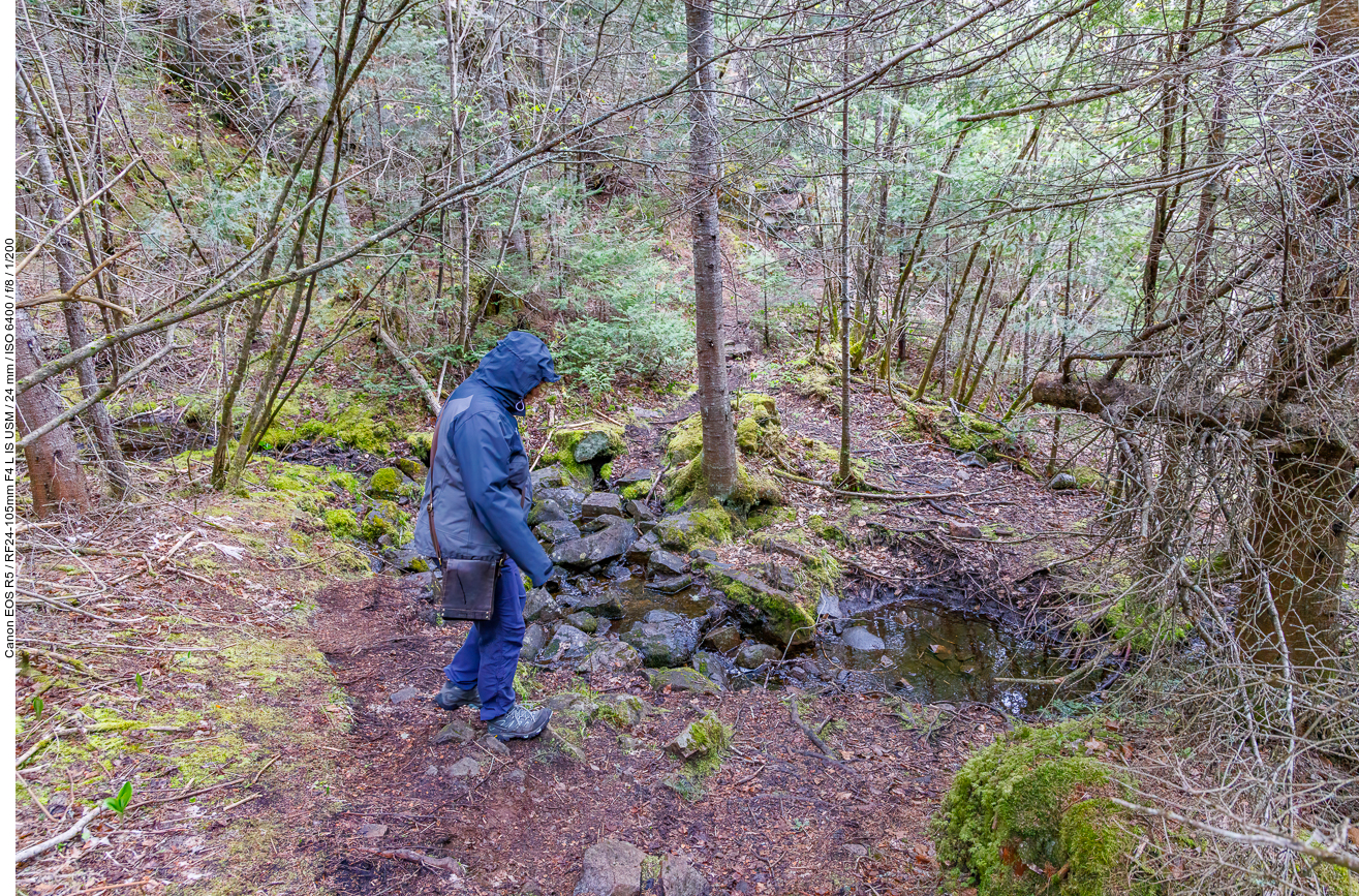Abstieg ins Tal