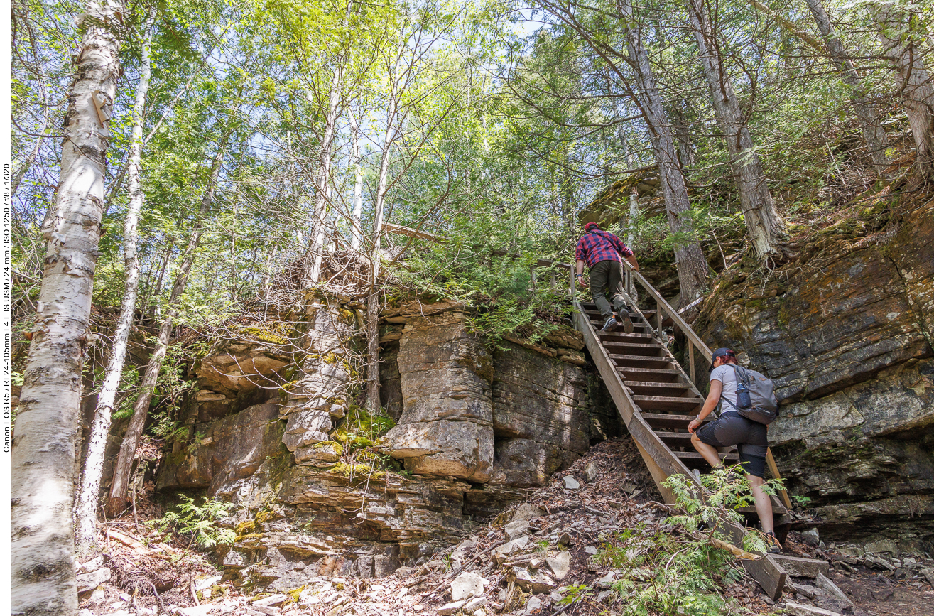 Zum Teil führt der Weg über Holztreppen und Leitern