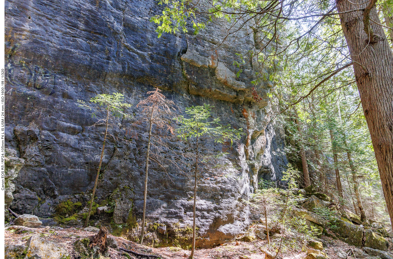 ... erwarten uns die Felsen