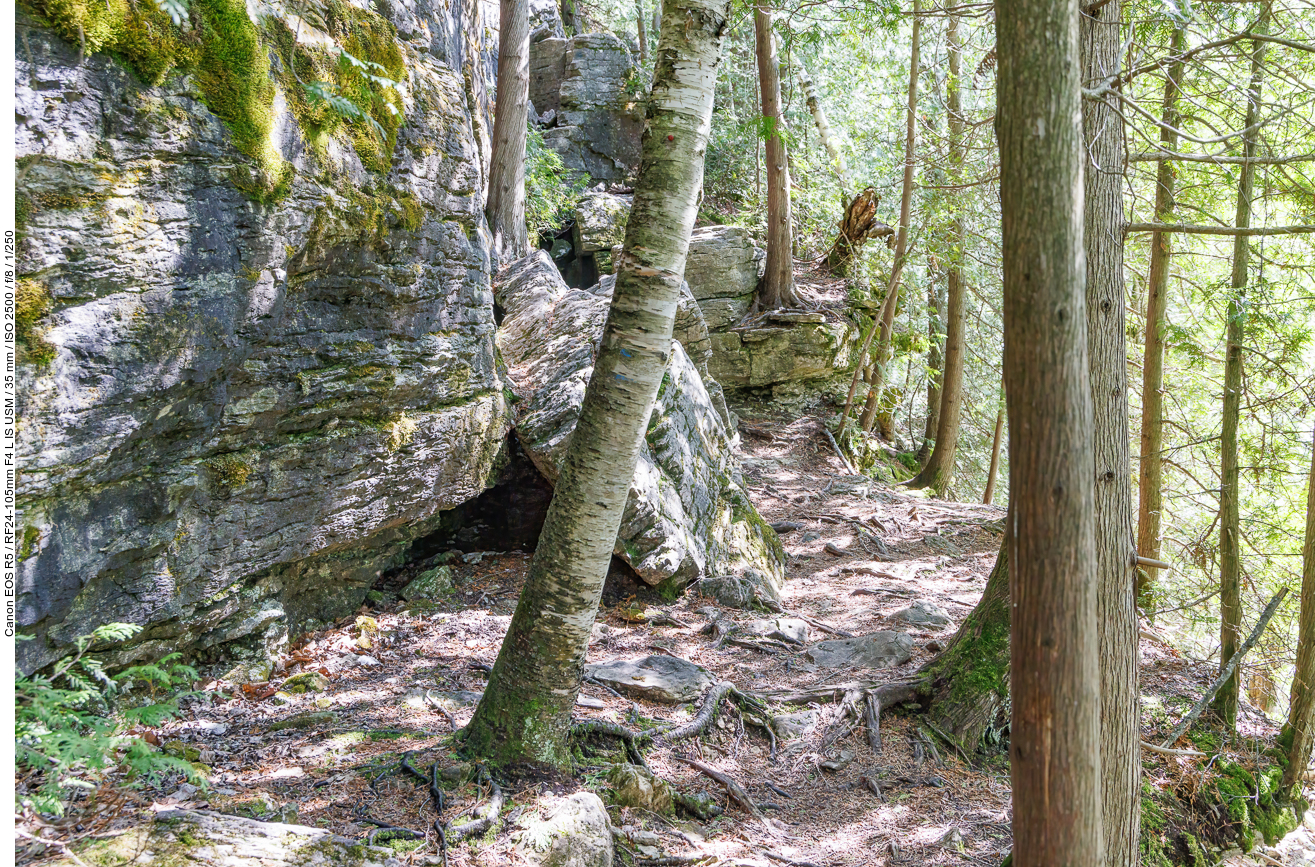Über einige der Felsen müssen wir klettern ...