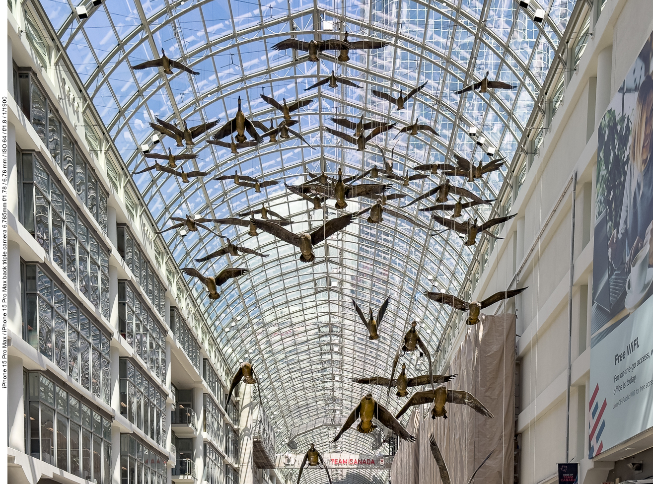 "Wildlife" im Eaton Center ;-)