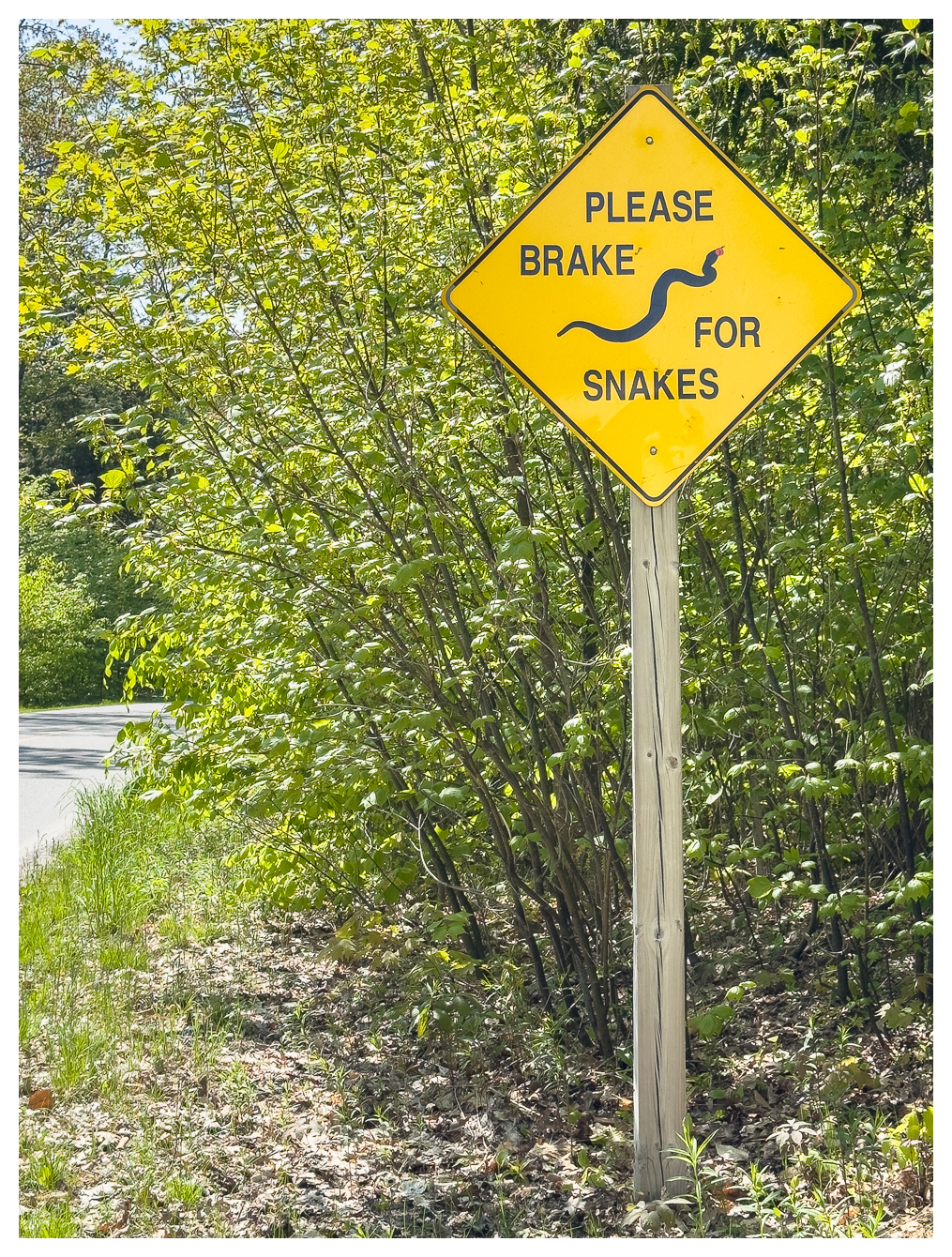 Dieses Schild sahen wir öfter