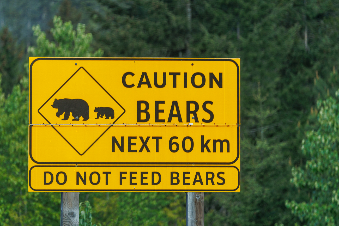 Dieses Schild lässt doch auf Wildlife hoffen?!