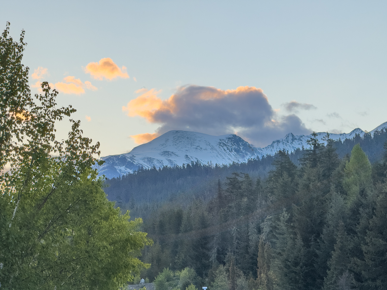 Die Sonne kommt hinter den Bergen hervor und wir sehen unseren ersten Bären an diesem Tag. Leider konnten wir ihn nicht fotografieren, weil ein hupendes Auto ihn vertrieb :-(