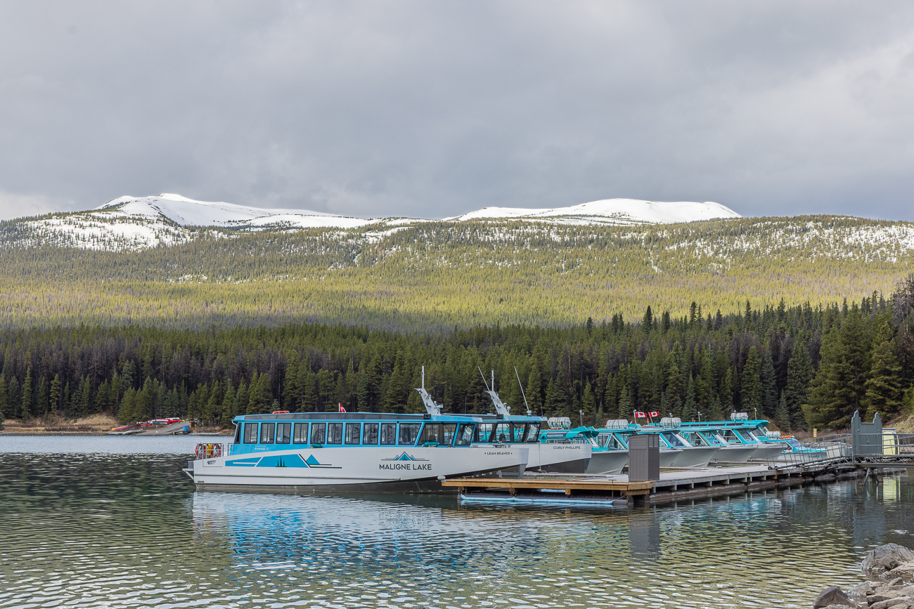Wir fahren weiter zum Maligne Lake