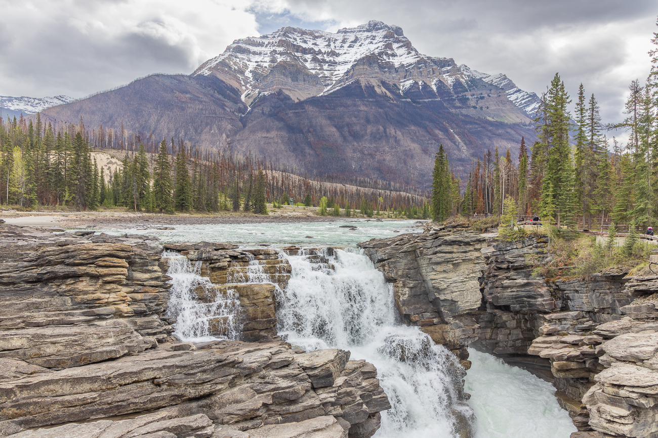 An den Athabasca Wasserfällen