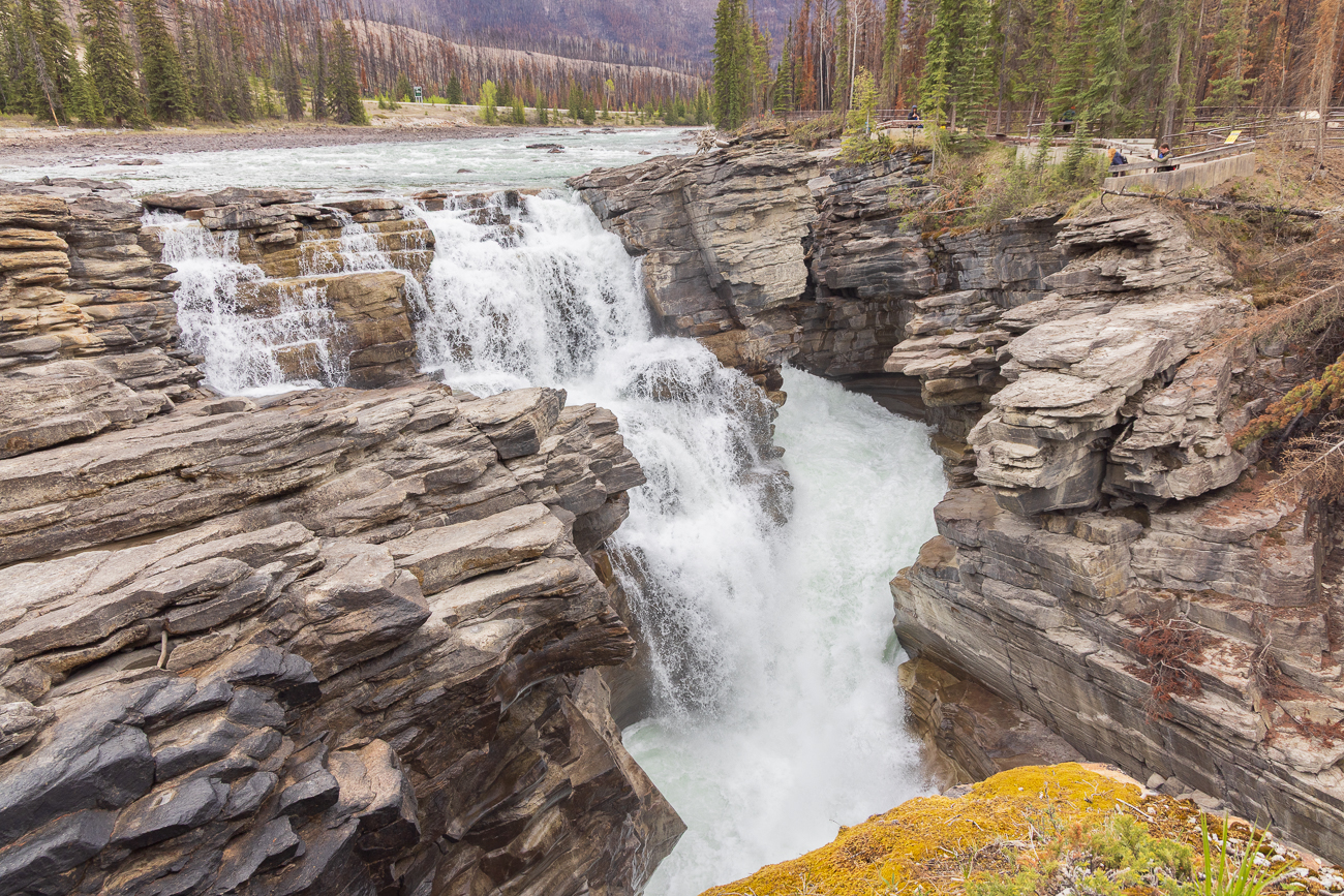 An den Athabasca Wasserfällen