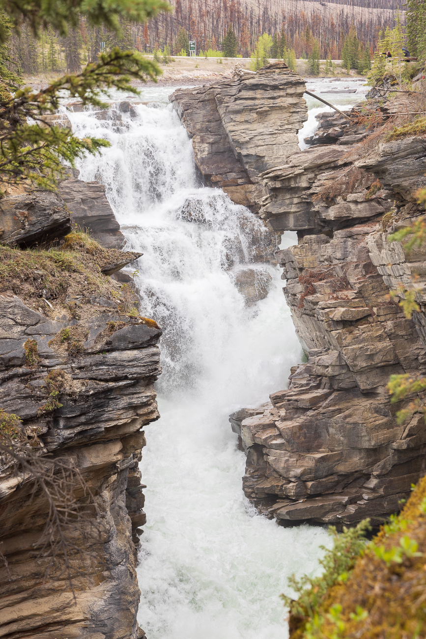 Athabasca Falls