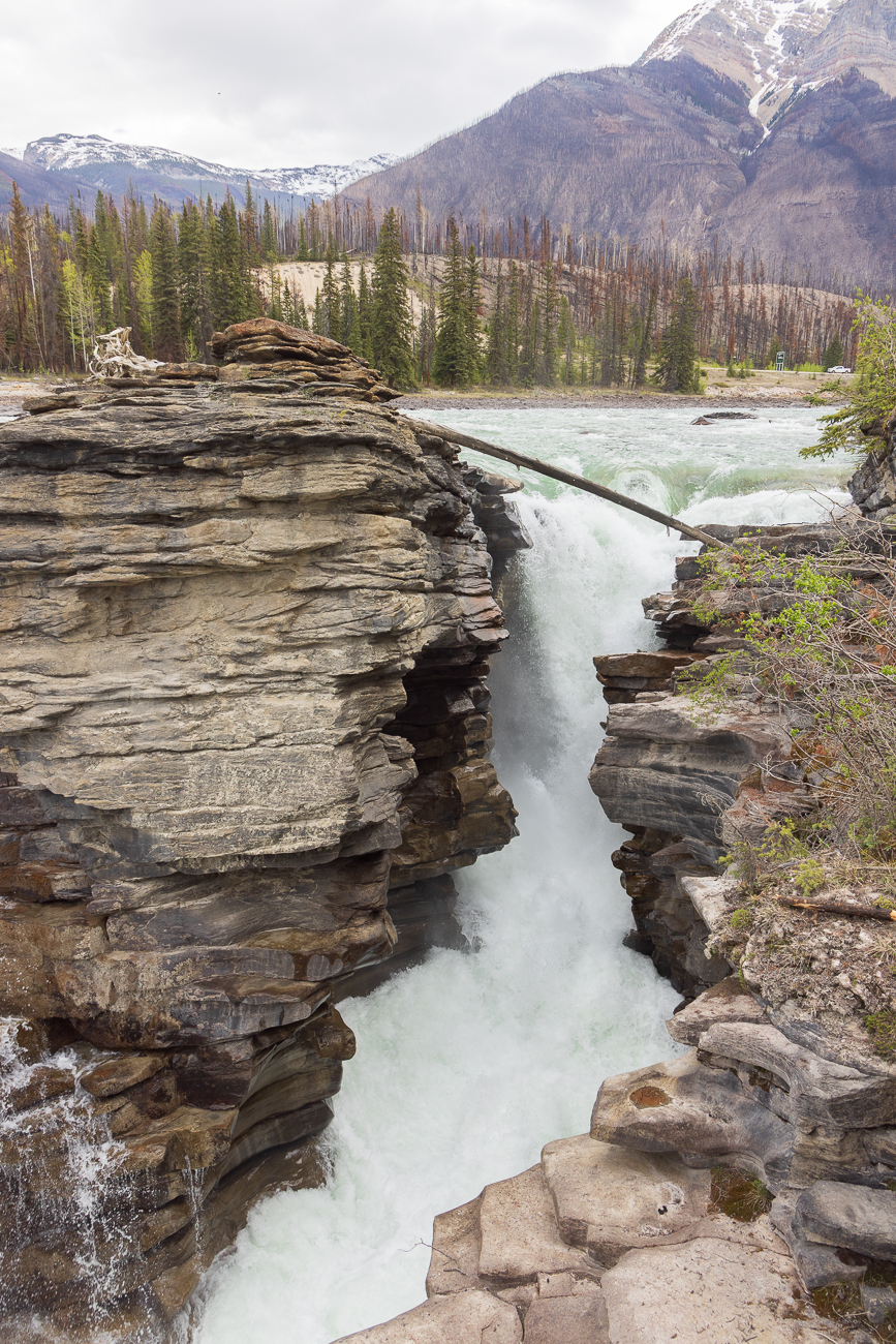 Athabasca Falls